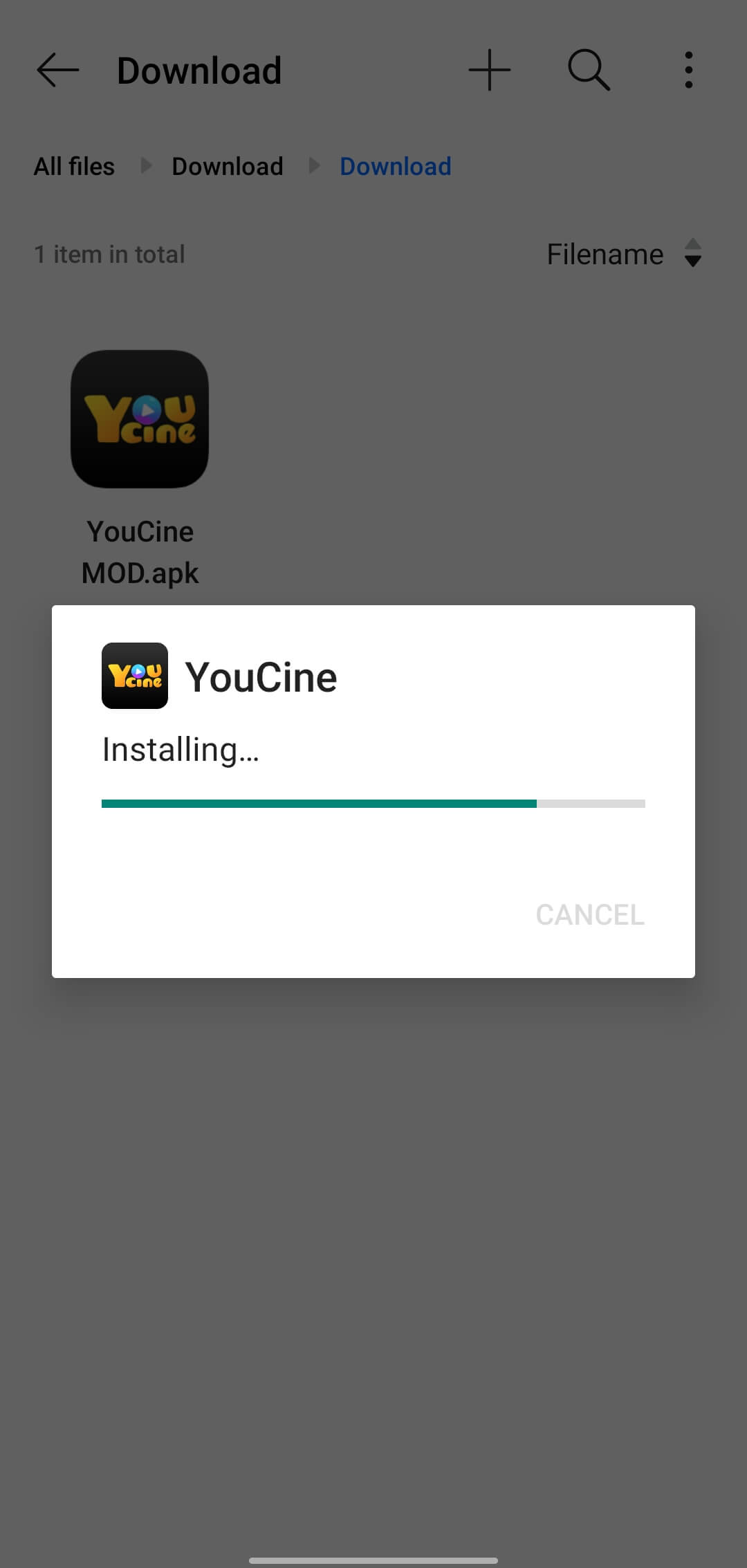 Begin the Installation Process