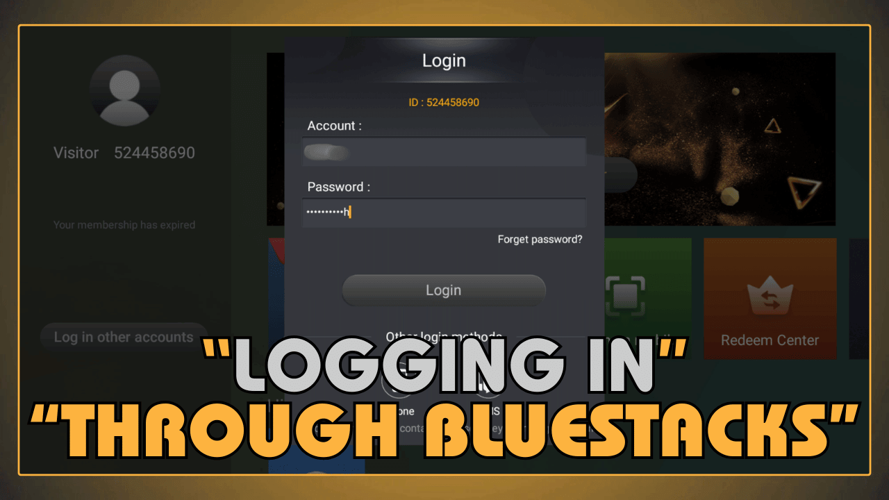 Logging In Through BlueStacks on PC